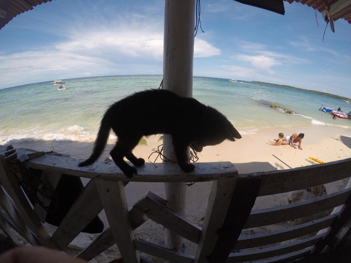 Despertarte Espacio De Arte Y Hospedaje Playa Blanca Εξωτερικό φωτογραφία